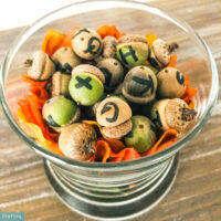 Acorn Alphabet Learning Activity