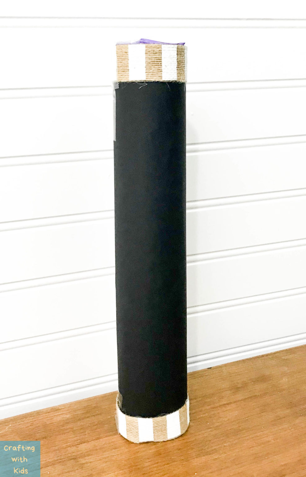 Easy DIY Rainstick Craft from a Paper Towel Roll