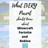 Roblox Fortnite Minecraft are they safe