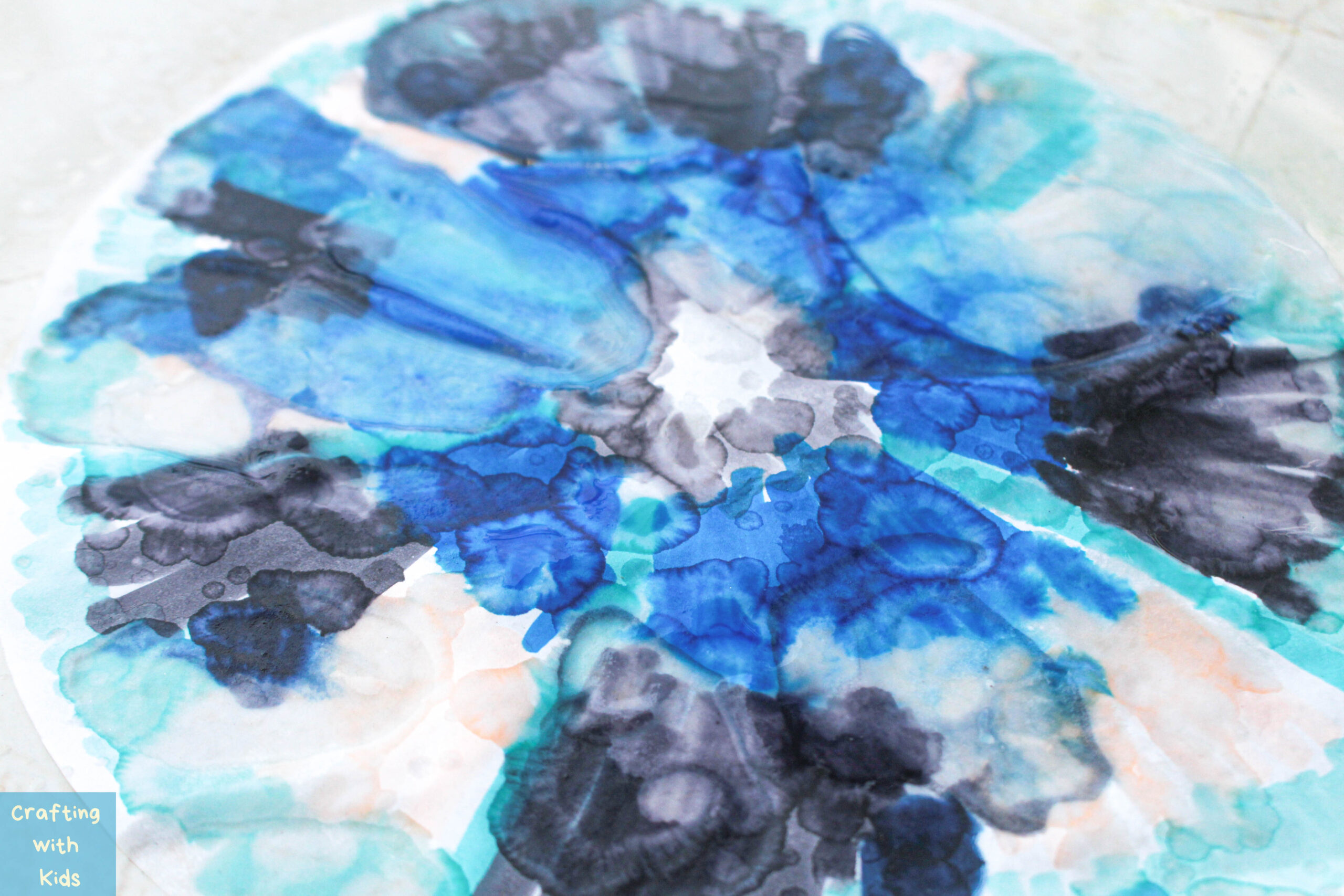 Coffee Filter Butterfly Craft with Butterfly Chromatography