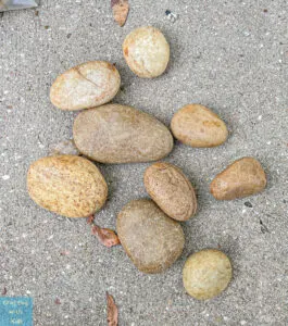 river rocks for rock painting