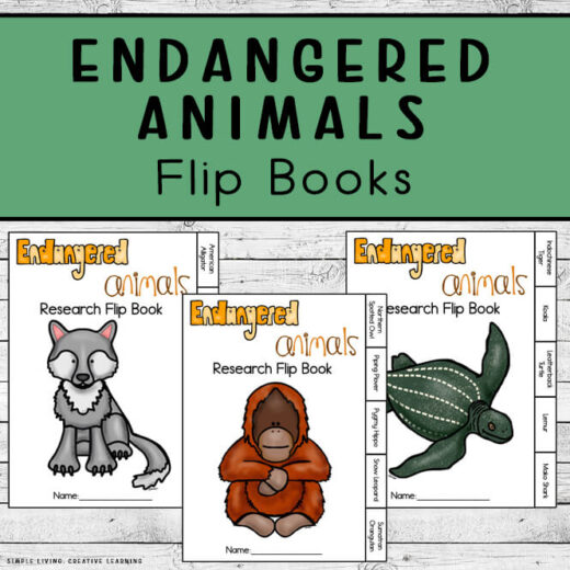 Flip Book Ideas for Kids with Teachable Flip Book Templates