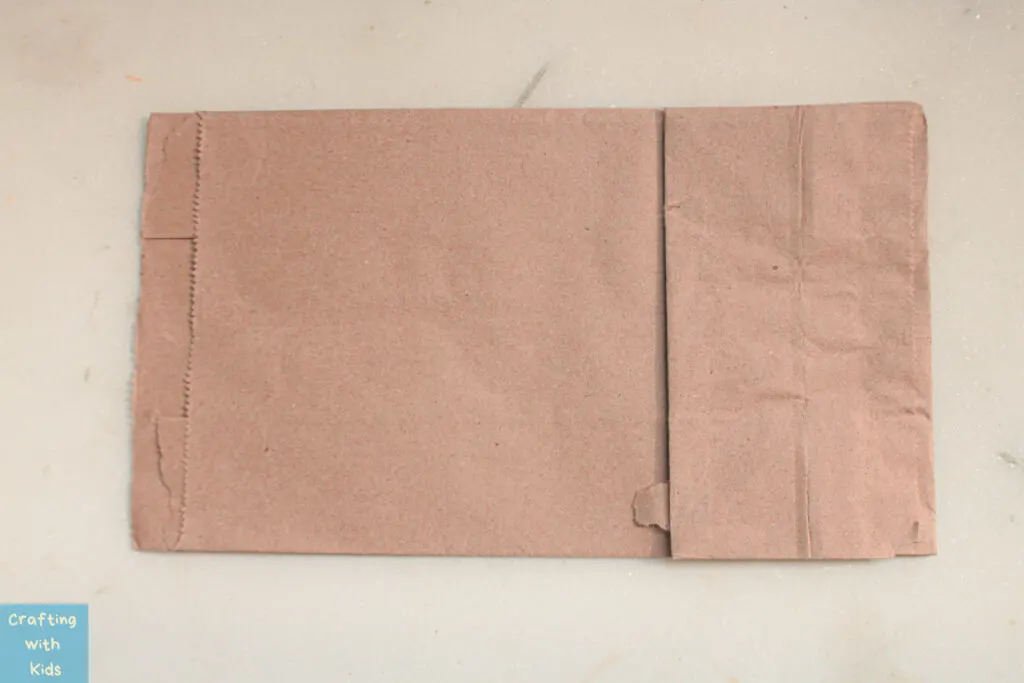 brown bag for flip book