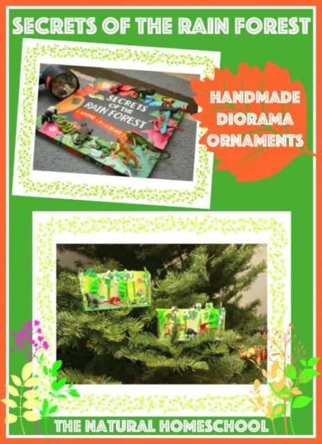 15 Fun Diorama Ideas for Kids of Any Age