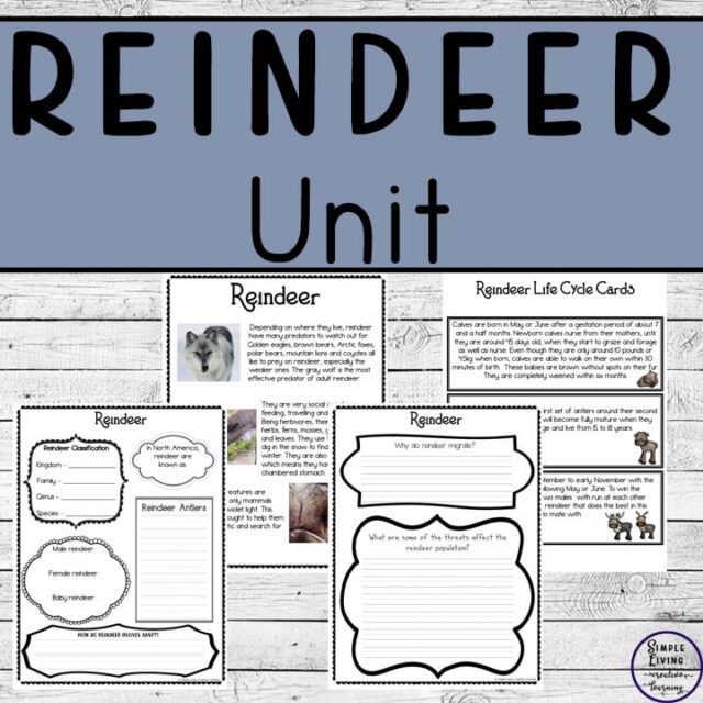 Flip Book Ideas for Kids with Teachable Flip Book Templates