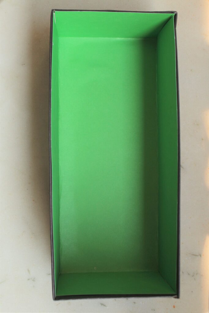 Rainforest Diorama Shoebox base