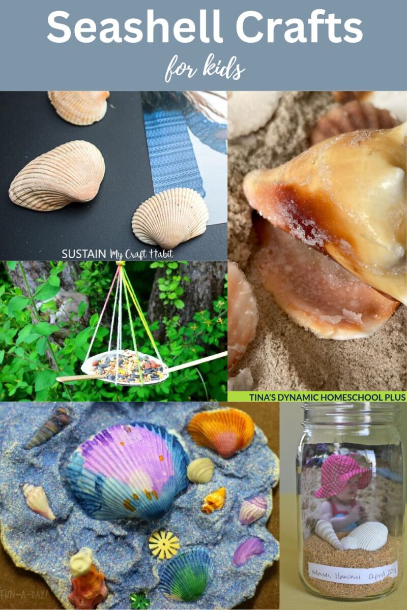 Shell Crafts for Kids: Easy DIY Projects for Creative Fun