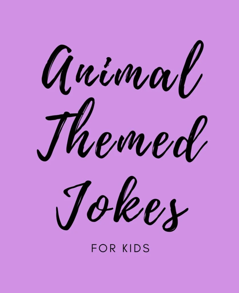 animal themed jokes for kids