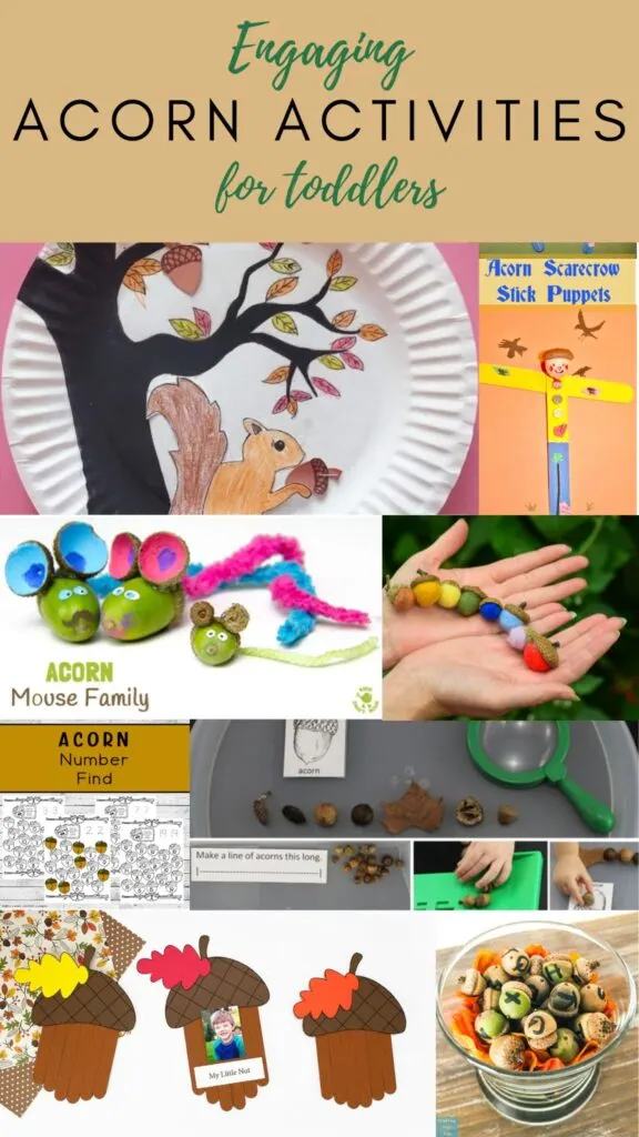 acorn activities for toddlers