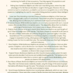 bottlenose dolphin facts for kids