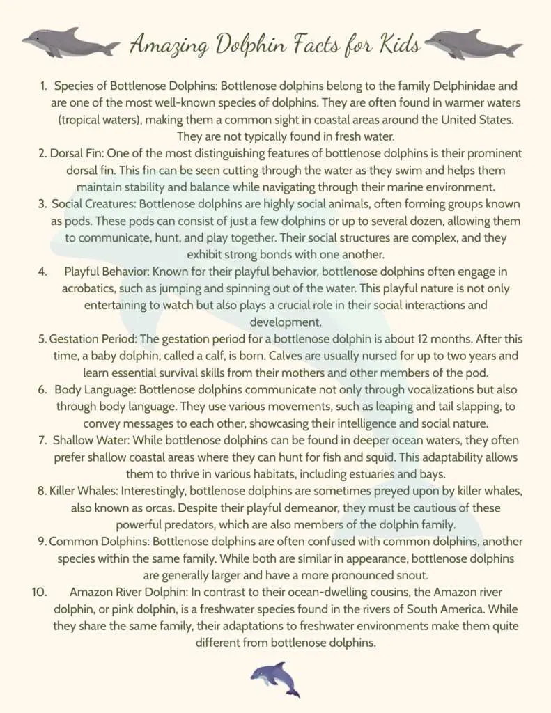 Dolphin facts for kids