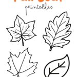 free printable autumn leaves