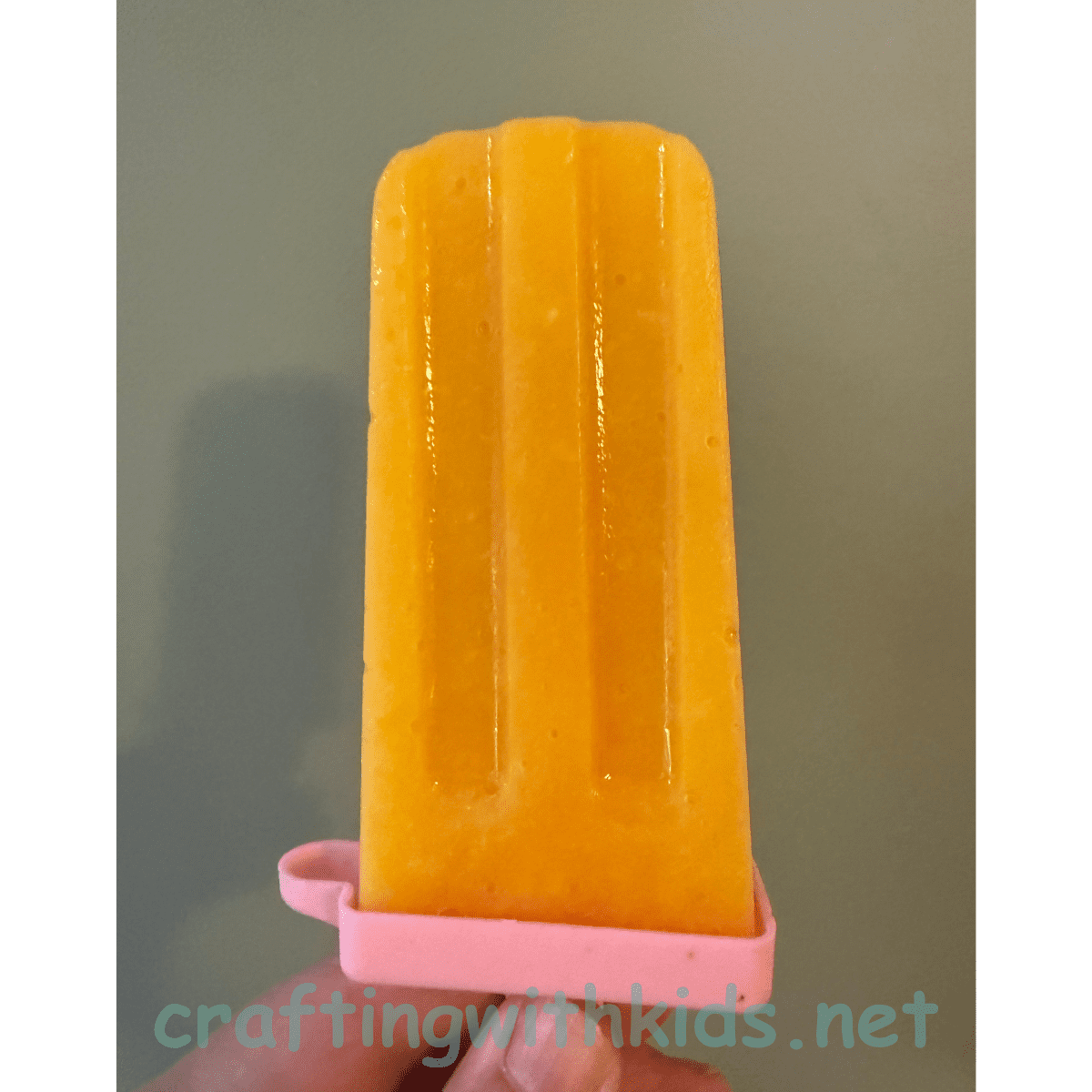 All Natural Fruit Popsicles